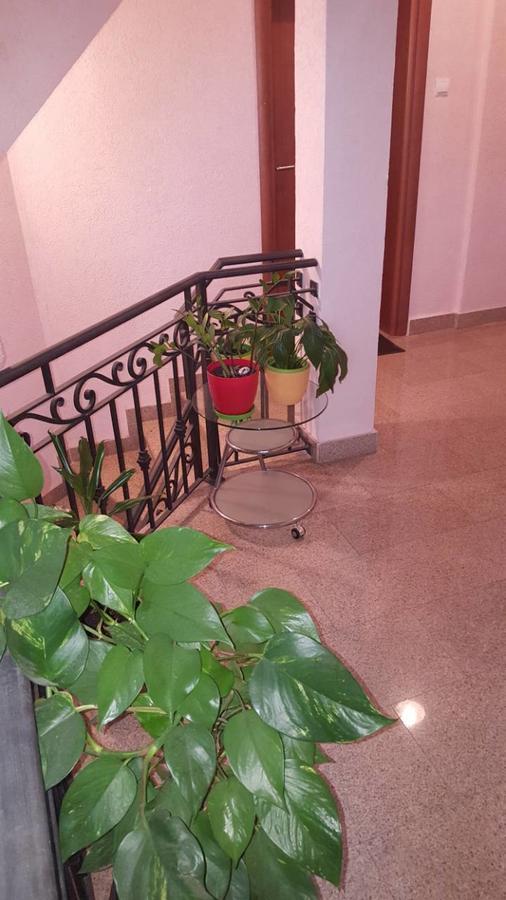 Apartman Centar Lux 布德瓦 外观 照片