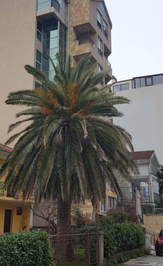 Apartman Centar Lux 布德瓦 外观 照片
